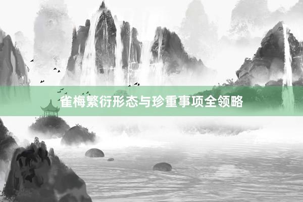雀梅繁衍形态与珍重事项全领略