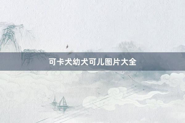 可卡犬幼犬可儿图片大全
