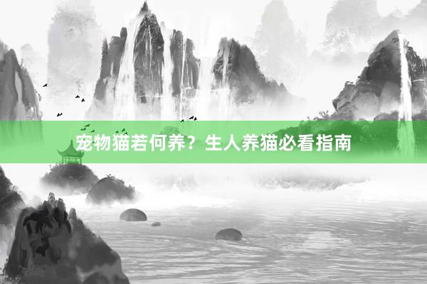 宠物猫若何养？生人养猫必看指南